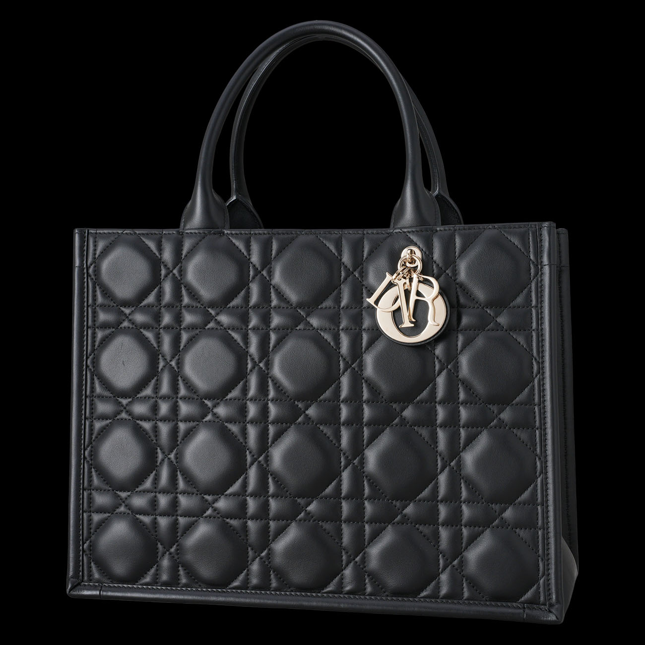 CHRISTIAN DIOR(USED)디올 레더 북토트 36